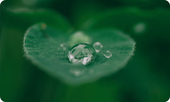 ABOUTページ画像